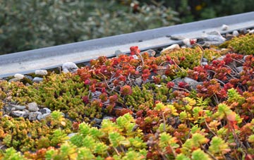 the cost of Manselfield green roof installation