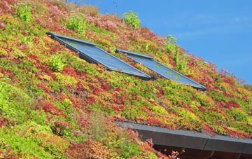 Manselfield living roof systems